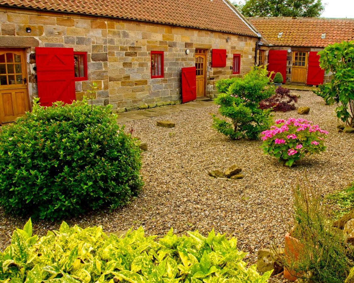 Spangle Cottage Staithes Esterno foto