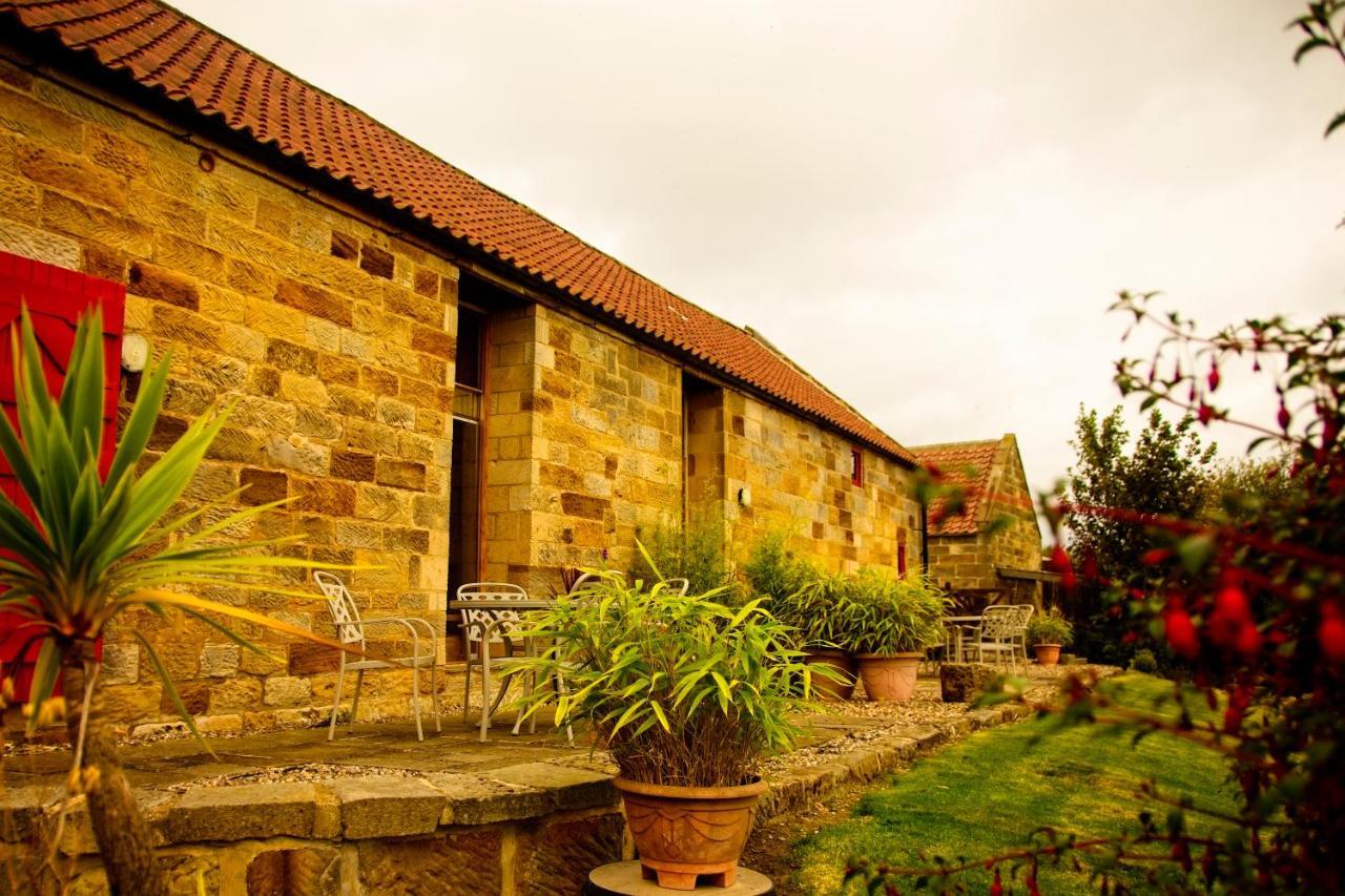 Spangle Cottage Staithes Esterno foto
